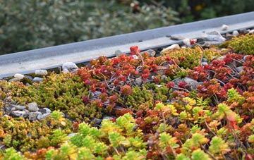 the cost of Five Ash Down green roof installation