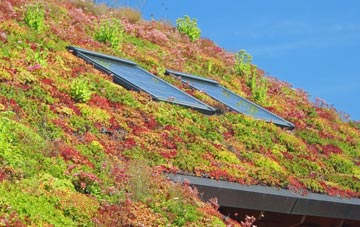 Five Ash Down living roof systems